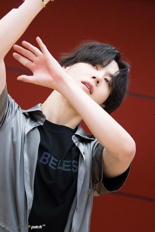 金有谦照片,光影交织下的青春风采